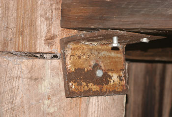 This brace, installed after damage by Hurricane Hugo, is now failing.